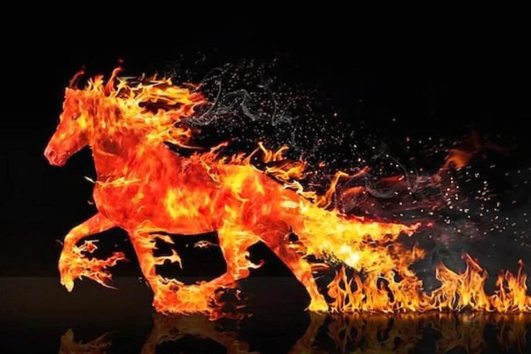 Fire Horse